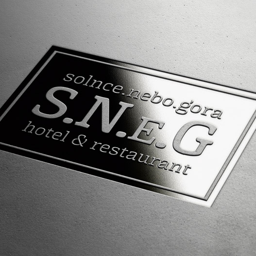 SNeG - Нейминг, лого, концепт